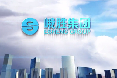 峨胜集团介绍（2015版）